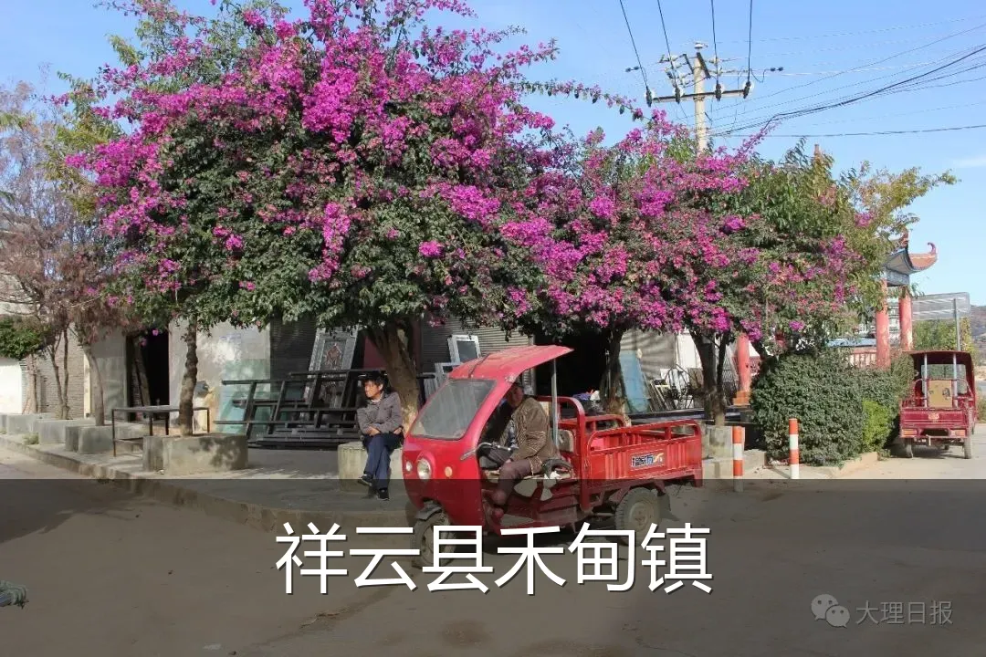 祥云县禾甸镇